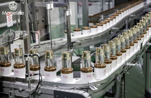 麦吉丽坚守安全品质，参与制定化妆品无汞化团体标准，推动品牌管理升级