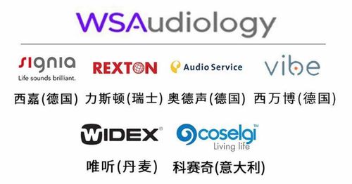 世界五大听力集团技术优势与产品系列解析 如何选择最适合的助听器品牌？